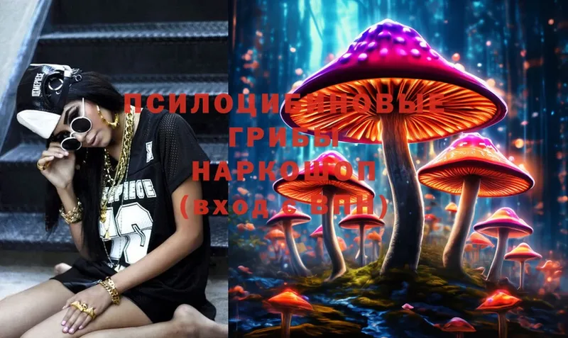 Галлюциногенные грибы Psilocybine cubensis  площадка наркотические препараты  Апрелевка 